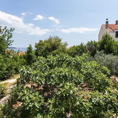 Apartment Tetepave Dubrovnik Exteriör bild
